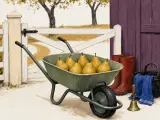 A green wheelbarrow filled with golden pears parked beside red boots and a purple barn door by a white wooden gate.